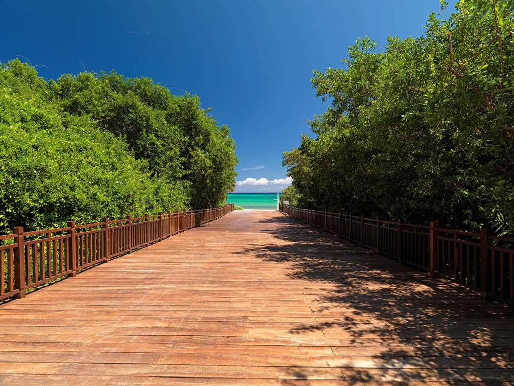 The Reserve Paradisus Playa Del Carmen (Adults Only) Nature photo